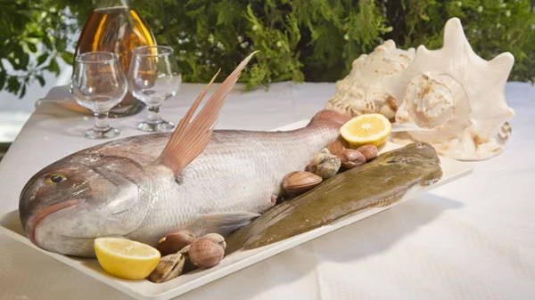 «Νησιώτισσα»: Καθαρός αέρας και ψαρονοστιμιές στη βεράντα της Πεντέλης