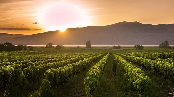 Βουτιά στη φύση: Οι λίμνες, τα ποτάμια και τα βουνά είναι must!