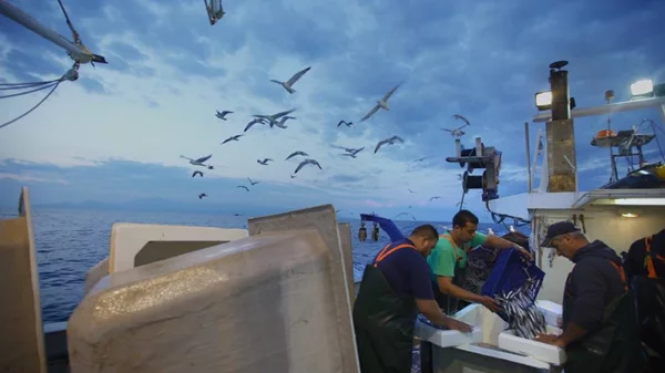 Το CineDoc με τη «Σιγή Ιχθύος» ανοίγει ένα περιβαλλοντικό θέμα που μας αφορά