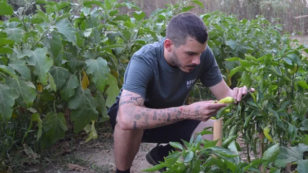 Pharaoh Fire Nights: Ο Δημήτριος Μούδιος μαγειρεύει για πρώτη φορά στην Ελλάδα