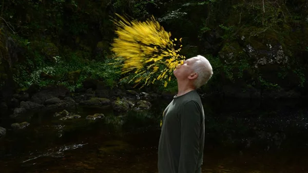 Ραντεβού στην Ταινιοθήκη για «Arts + Docs»