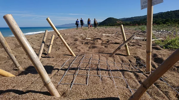 Γιατί οι καρέτα-καρέτα θα γεμίσουν φέτος Ιόνιο και Κρήτη; 
