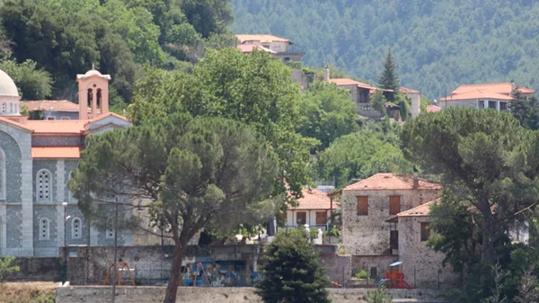 Με μια επίσκεψη στη Βαμβακού Λακωνίας θα «καρυδώσετε»