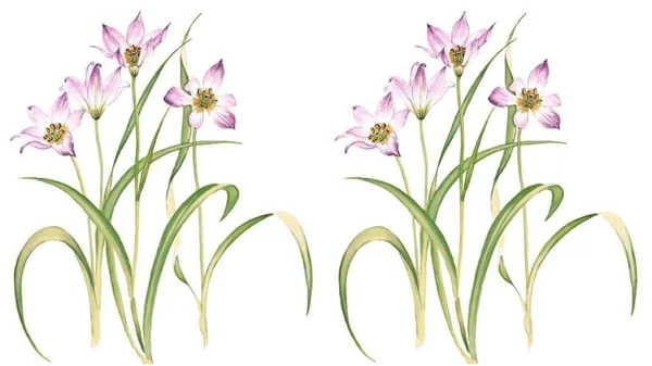 Πανελλήνιο μαθητικό διαγωνισμό ζωγραφικής ανακοίνωσε το Μουσείο Γουλανδρή