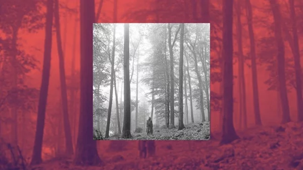 Οι καλύτεροι δίσκοι της χρονιάς από το περιοδικό Time