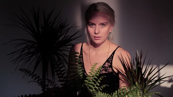 Τηλε-λάιβ για τις Nalyssa Green και Δεσποινίς Τρίχρωμη