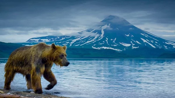 Ο σερ Ντέιβιντ Ατένμπορο μας ξεναγεί σε έναν «Τέλειο Πλανήτη»