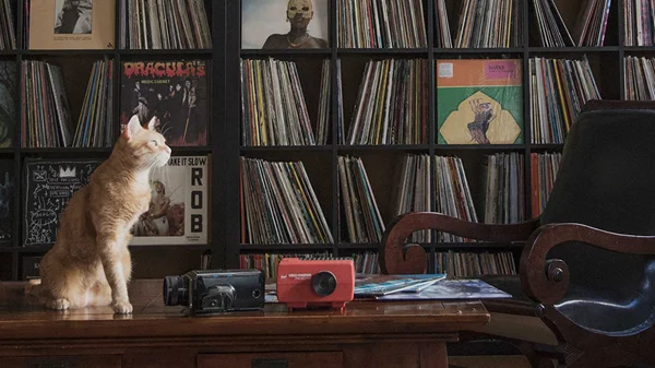 Movement Radio: Οι εκπομπές που δεν πρέπει να χάσεις αυτήν την εβδομάδα