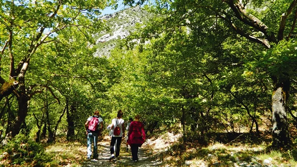 5 πικνίκ στην εξοχή για τα οποία αξίζει να περπατήσεις 