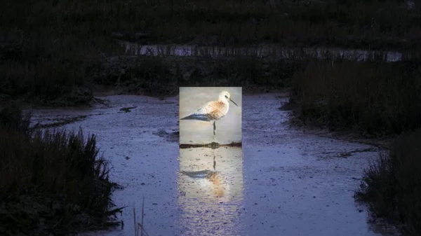 «You and AI»: Έκθεση με έργα τεχνητής νοημοσύνης έρχεται στο Πεδίον του Άρεως