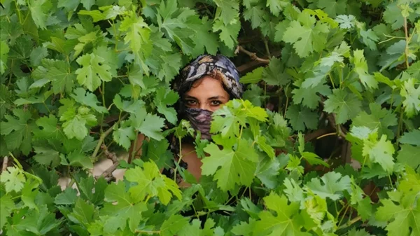 Οι εκπομπές που δεν πρέπει να χάσεις αυτή την εβδομάδα (22/06-28/06)