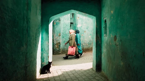 10 + 2 εκθέσεις που δεν πρέπει να χάσεις τον Νοέμβριο 