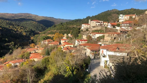 Καλωσορίζουμε την Άνοιξη στη Vamvakou Revival