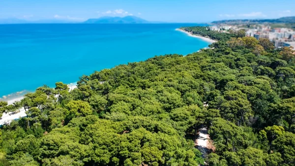 «Αριστοναύτες»: Ένα πολυθεματικό φεστιβάλ εγκαινιάζεται στον Δήμο Ξυλοκάστρου-Ευρωστίνης