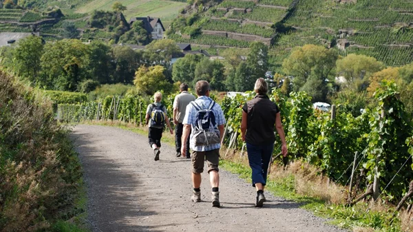Μεθυστικά φθινοπωρινά περπατήματα