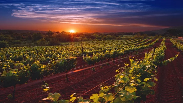 Η Ελλάδα μέσα από το ποτήρι