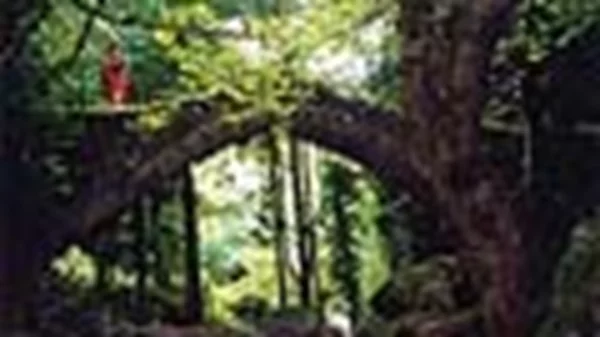 Ο γύρος του Πηλίου σε 10... αφορμές