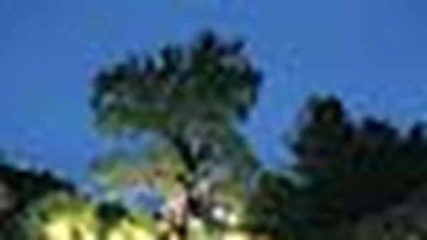 Τα πάρτυ του καλοκαιριού