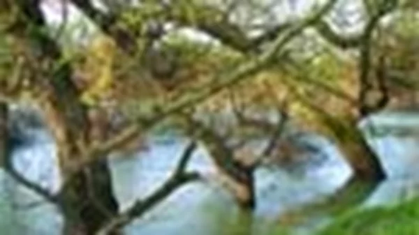 Μια Ήπειρος… για το καλοκαίρι