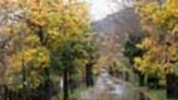 Αχαΐα VS Αρκαδία 