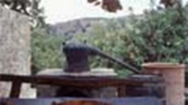 Αγρόκτημα Έναγρον 