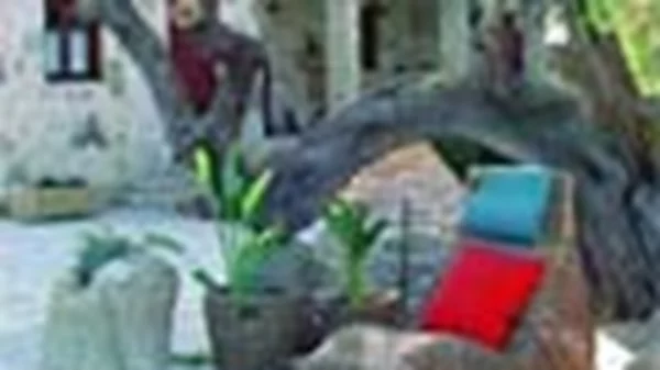 Πράσινη Ζάκυνθος