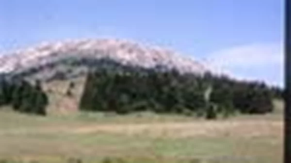 Περπατώ εις το δάσος