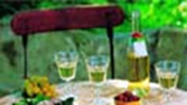 Άνοιξη στην Προβηγκία