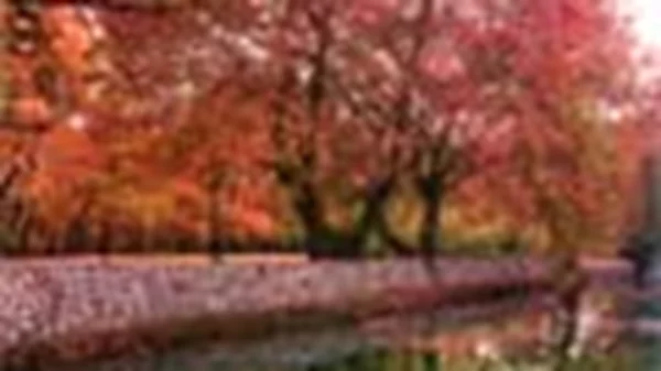 Βόρειος Ταΰγετος 