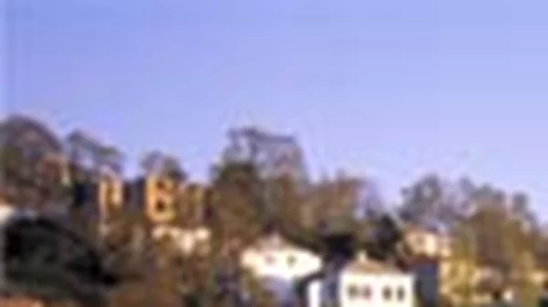 Πορταριά, πήλιο