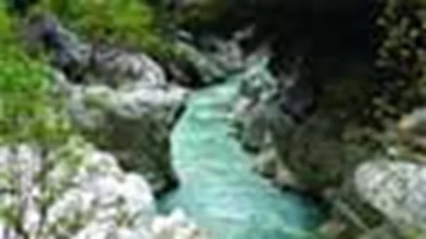 Viva Πρέβεζα, Forza παραλία!