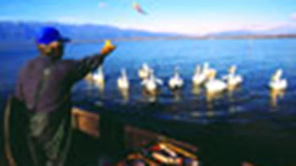 Weekend γεύσεων και αισθήσεων στην Κερκίνη