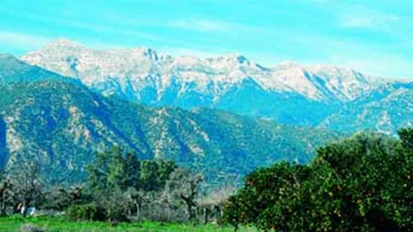 Πικουλιάνικα Λακωνίας