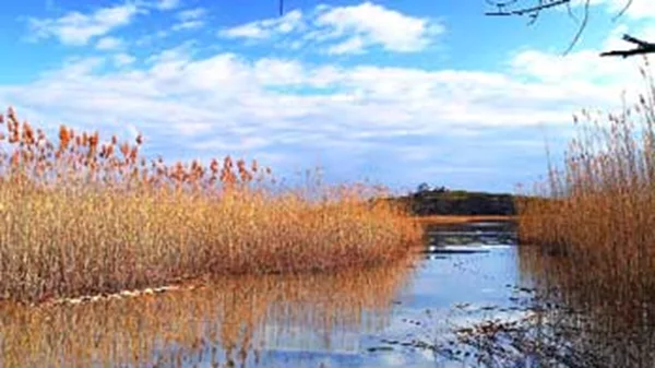 Καϊμάκτσαλαν 