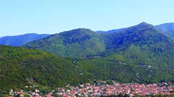 Παγγαίο - Φαλακρό