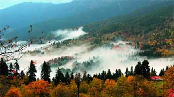 Κόζιακας hopping