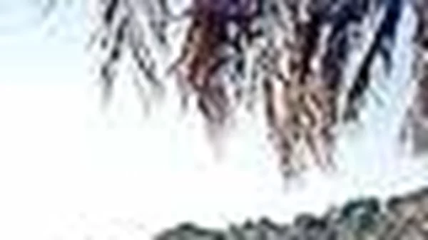 ΣΤΑ ΠΑΡΑΛΙΑ ΤΗΣ ΗΛΕΙΑΣ