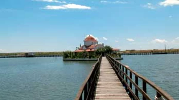 Δίκτυο Agrinet 