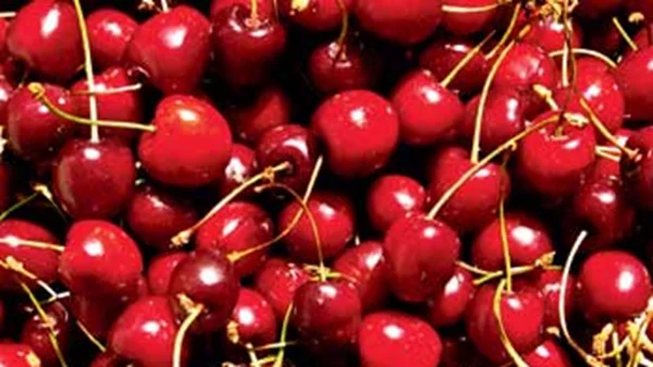 Τσακώνικες μελιτζάνες, δίκταμο και κεράσια!