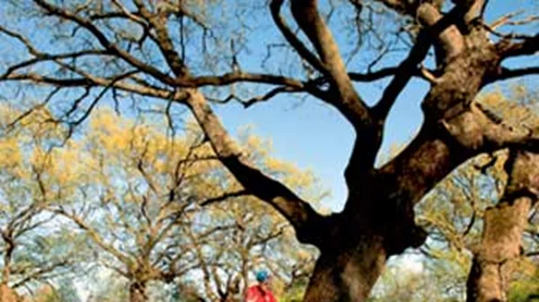 Γουμένισσα - Σκρα