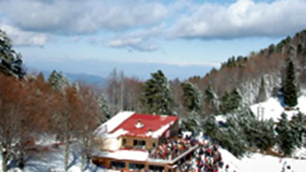 Ελατοχώρι update