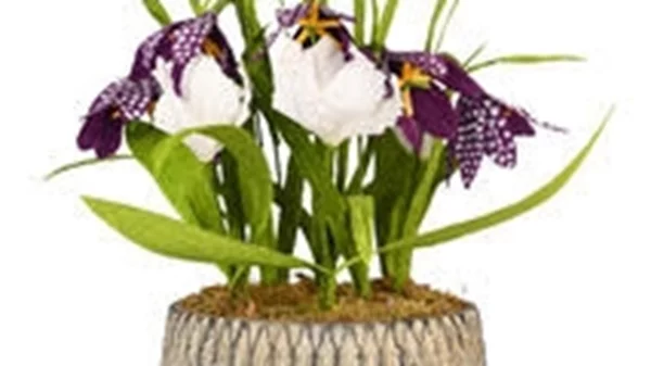 Η Ραλλού Γιαννά αφηγείται "Paper Flower Stories"