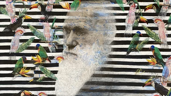 "Nature inside the walls": Αφιέρωμα για την αστική βιοποικιλότητα στο Μουσείο Ηρακλειδών