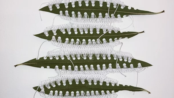 Τέσσερις καλλιτέχνιδες "Αναζητούν την Απτότητα"