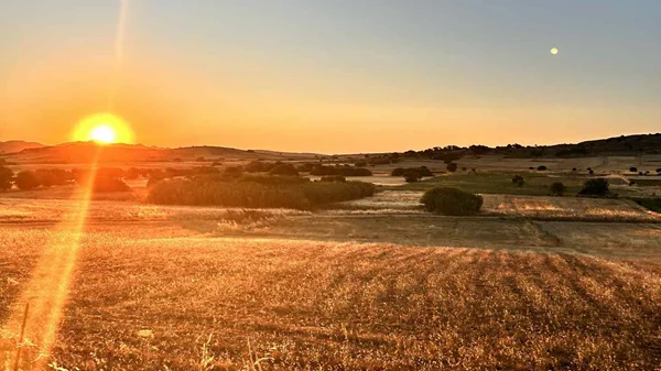 Λήμνος, η ομορφότερη από όλες τις στεριές σε 8 γαστρονομικές στάσεις
