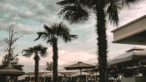 "Avenue", Θεσσαλονίκη