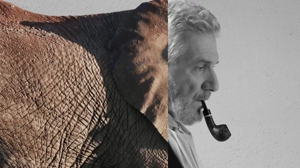 Τρία έργα που αγαπήσαμε στο σινεμά ανεβαίνουν στη σκηνή