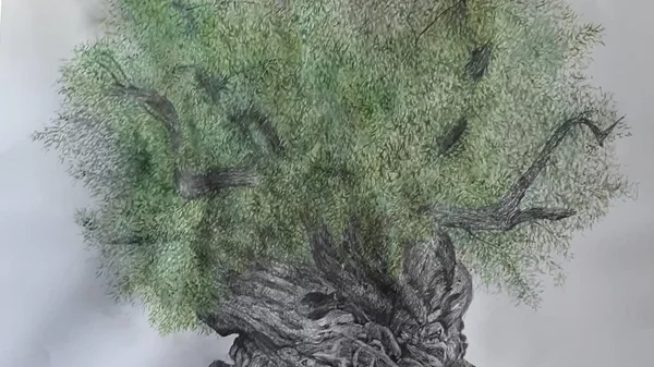 H Τιτίκα Σάλλα μιλάει "Περί φύσεως"