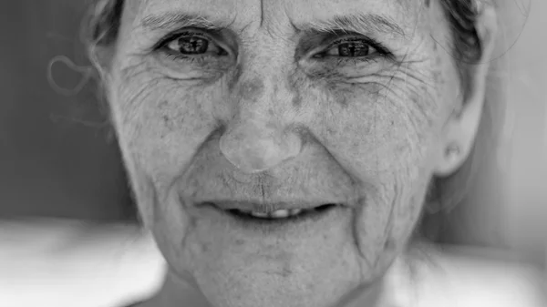 "Δευκαλίων: Η Ελπίδα της Τέχνης": Μία συγκινητική έκθεση στηρίζει τις πληγείσες περιοχές της Θεσσαλίας