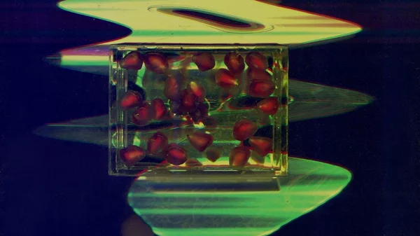 "Για πολλά χρόνια κοιμόμουν νωρίς": Η Νάνα Σαχίνη σε ένα βιωματικό workshop-ταξίδι στη μνήμη της παιδικής ηλικίας